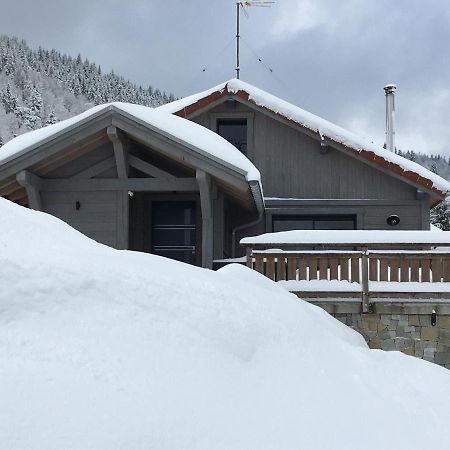 chalet bel horizon La Montagne Des Lamas La Bresse Extérieur photo