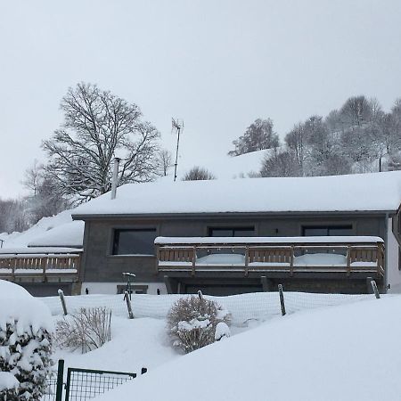 chalet bel horizon La Montagne Des Lamas La Bresse Extérieur photo